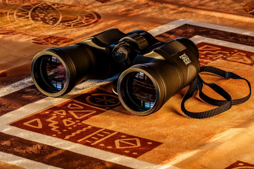 Safari Binoculars Do I Need Them