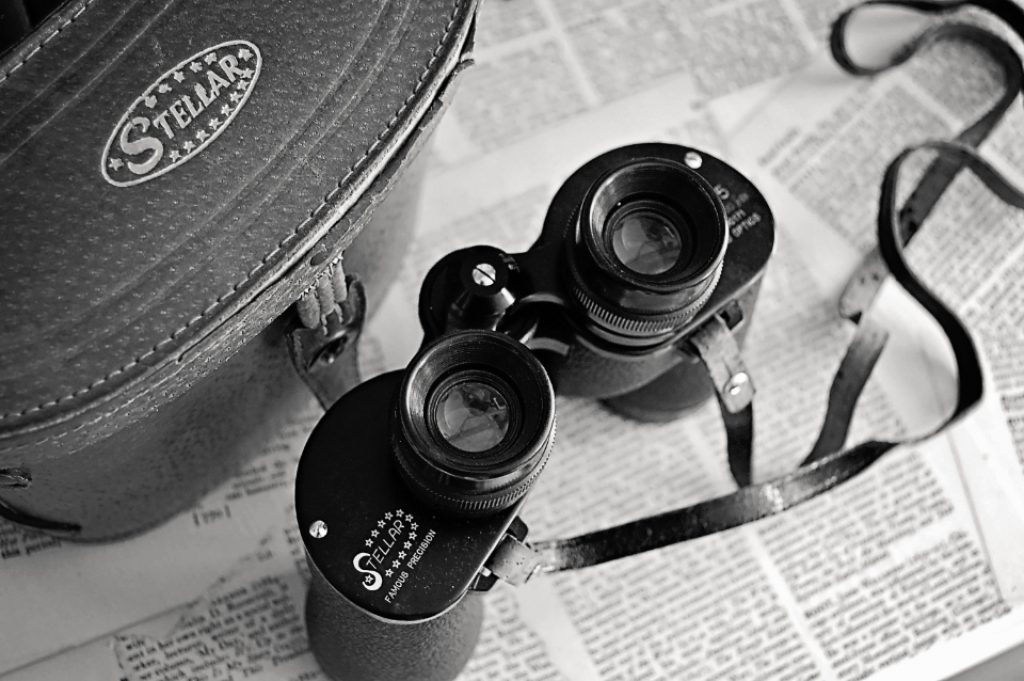 Binoculars for Safari
