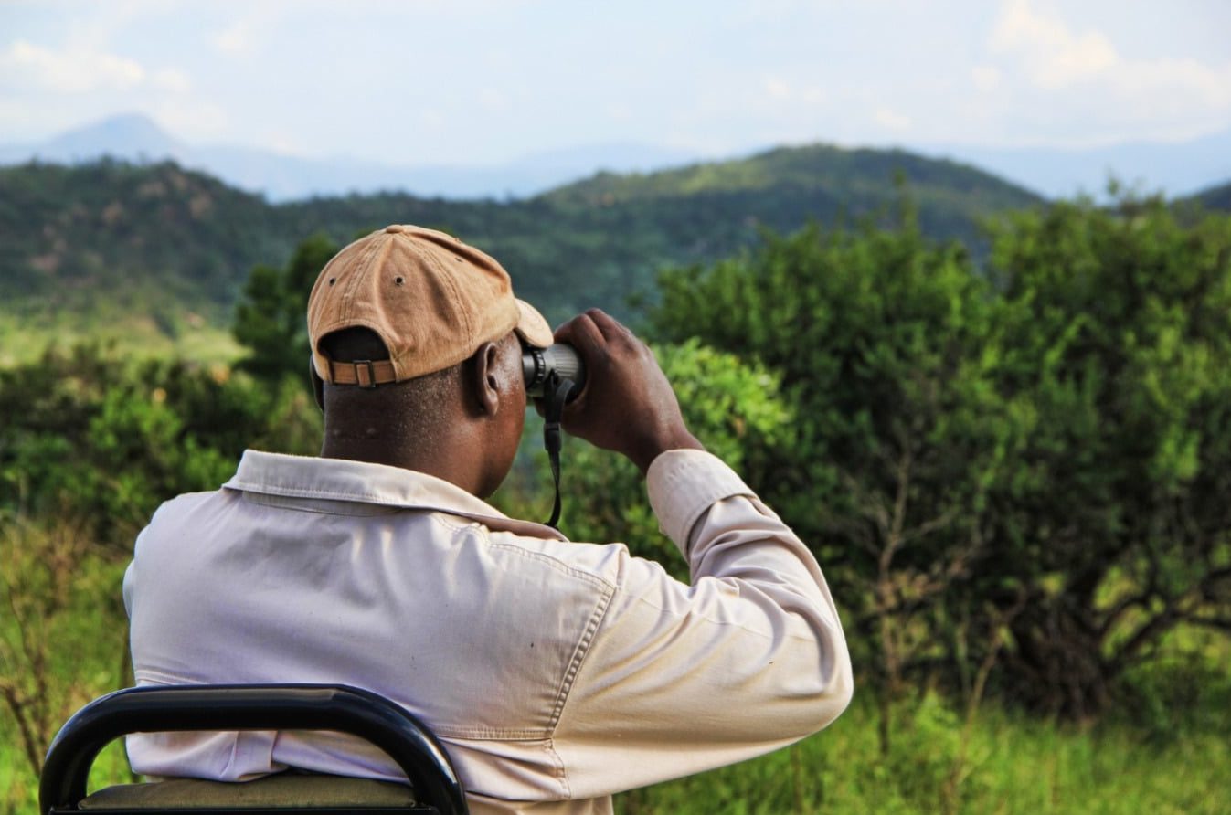 The Best 10×50 Binoculars of 2018