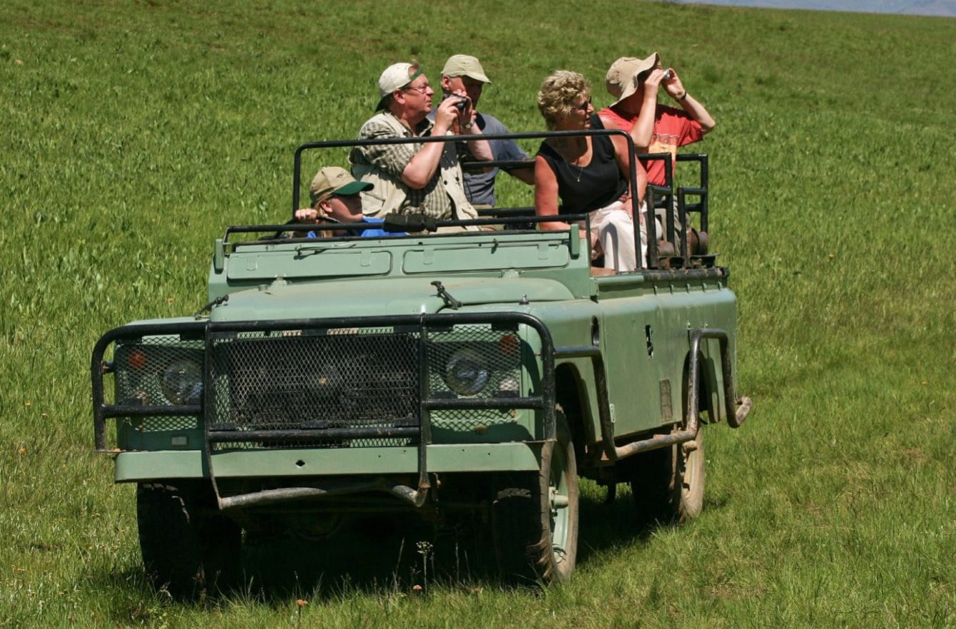 best binoculars for safari