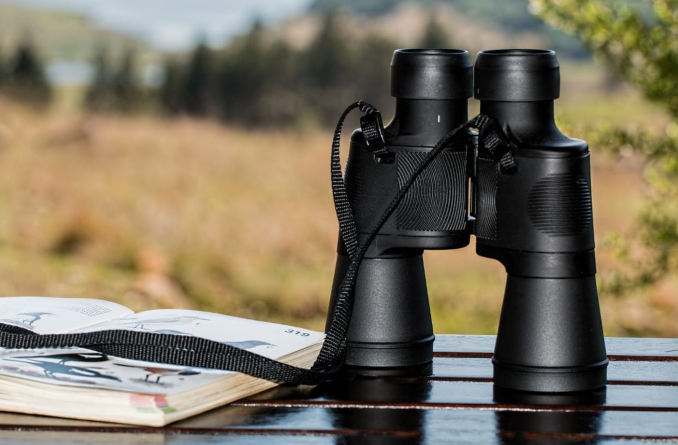 best lightweight binoculars for birdwatching
