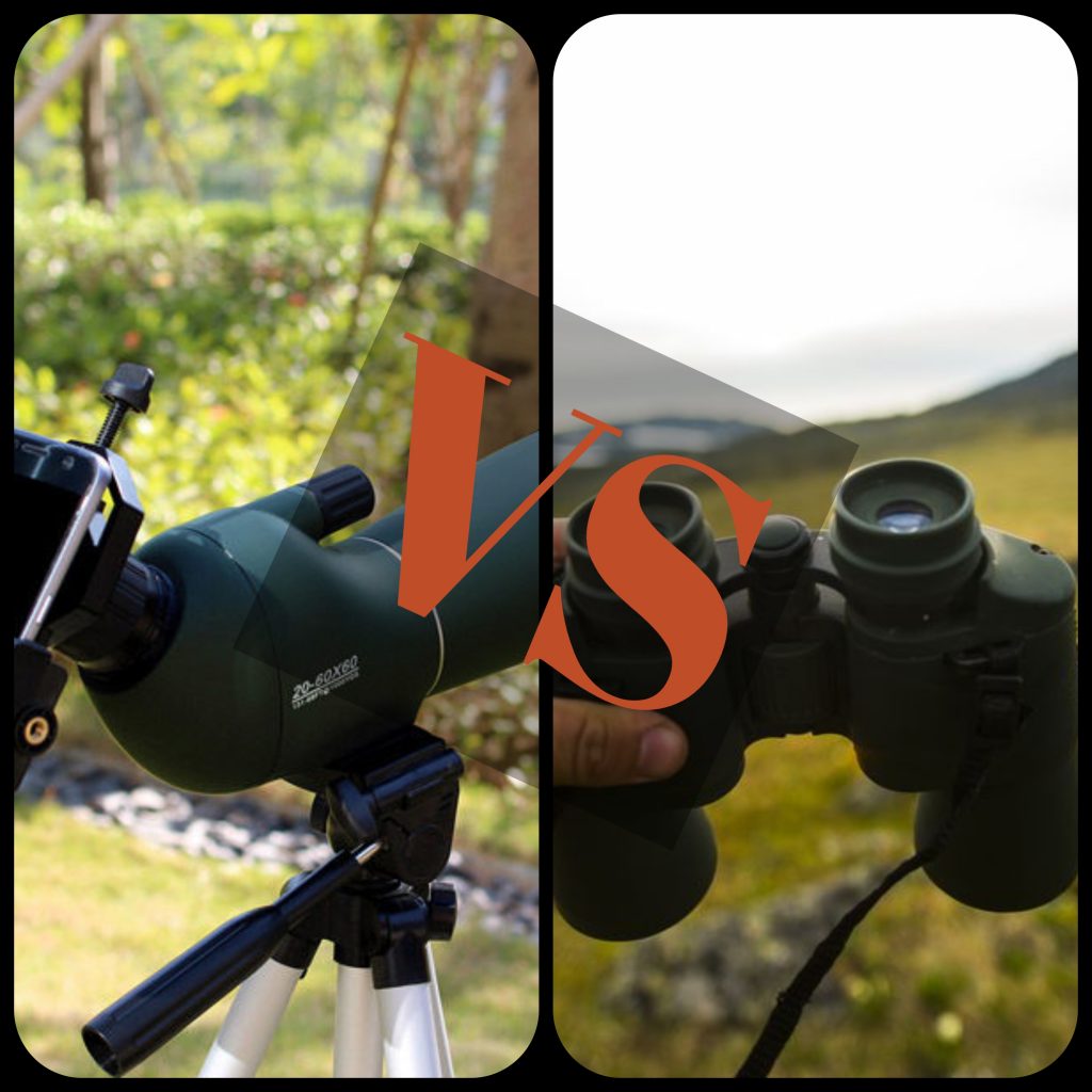 binoculars vs spotting scope for birding