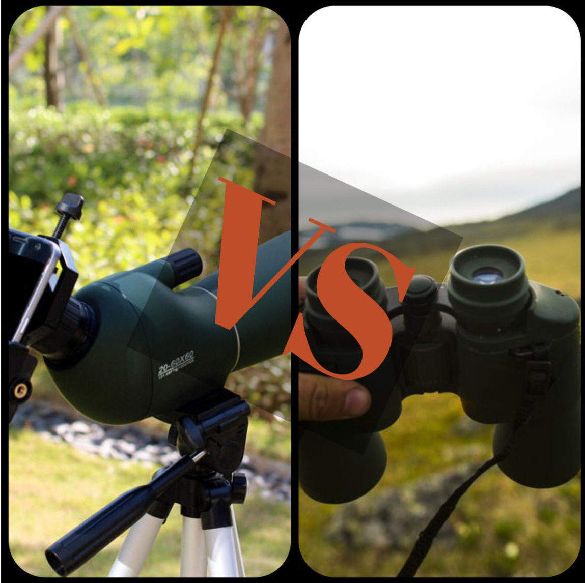 Binoculars or spotting scope for bird watching