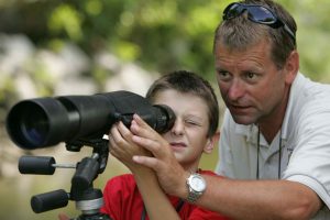 binoculars vs spotting scope