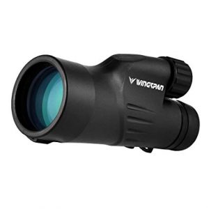 wingspan optics birdwatching monocular