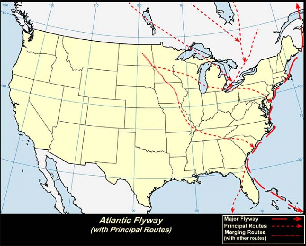 Atlantic Flyway (U.S.A.)-USGS photo