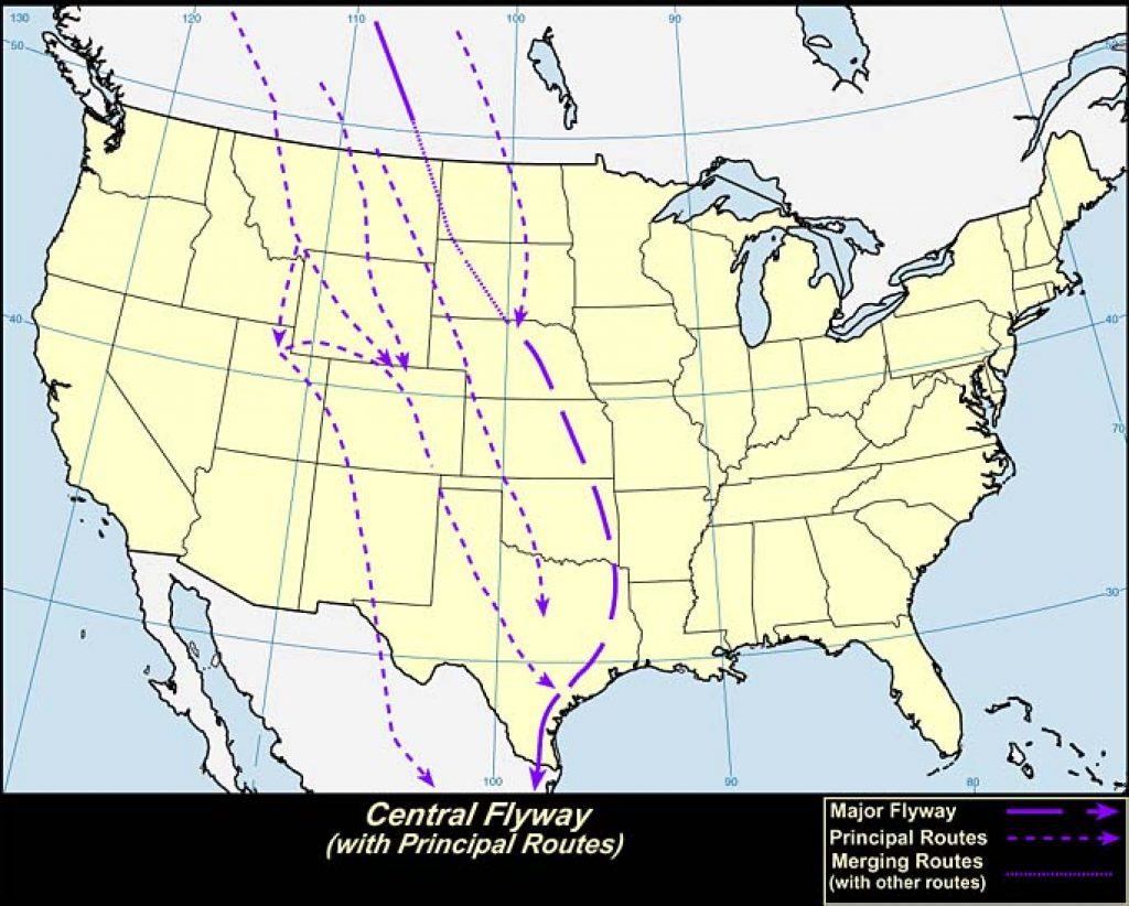 Central Flyway (U.S.A.)-USGS photo