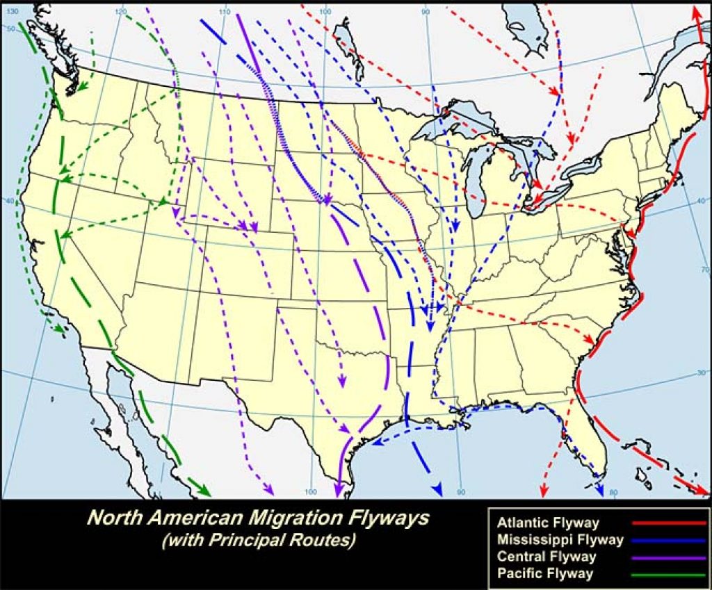 All Flyways (U.S.A.)-USGS photo