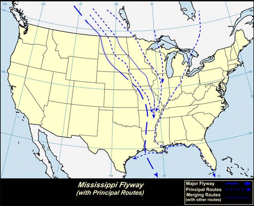 Mississippi Flyway (U.S.A)- USGS photo