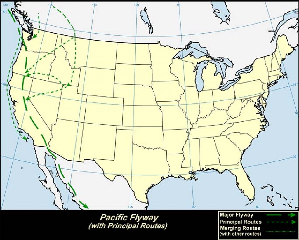 Pacific Flyway (U.S.A.)-USGS photo