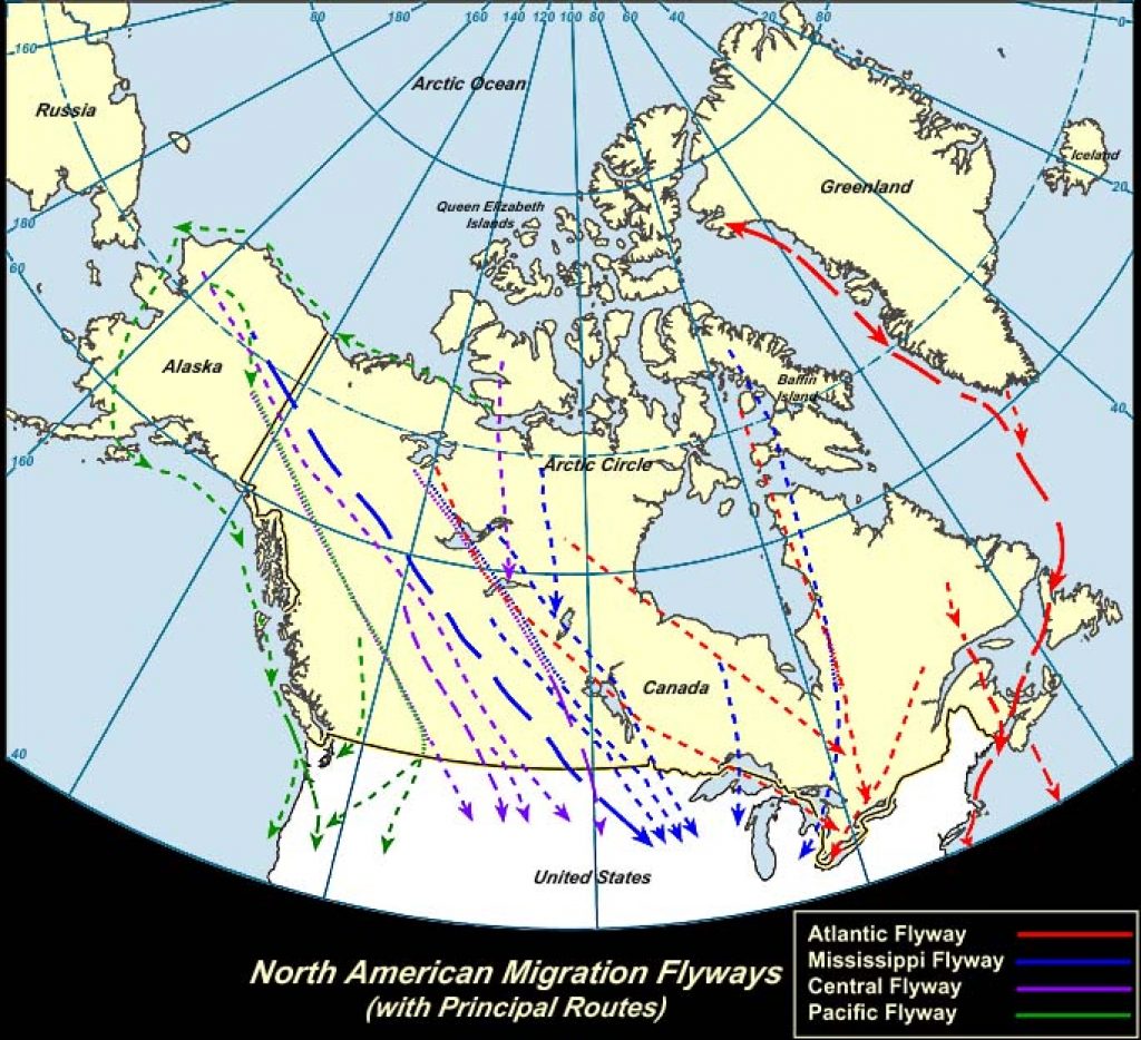 All Flyways (Canada)-USGS photo