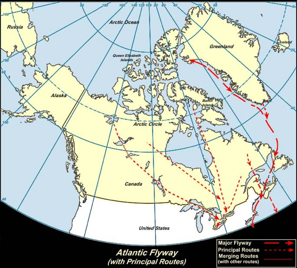 Atlantic Flyway (Canada)-USGS photo