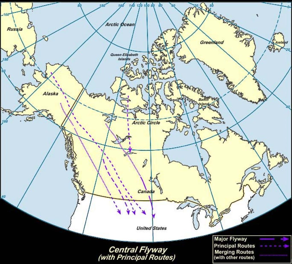 Central Flyway (Canada)-USGS photo