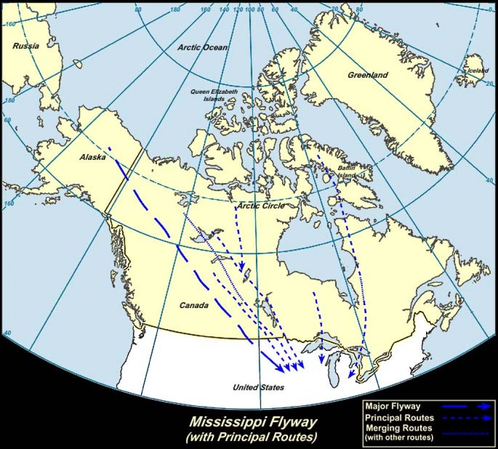 Mississippi Flyway (Canada)-USGS photo