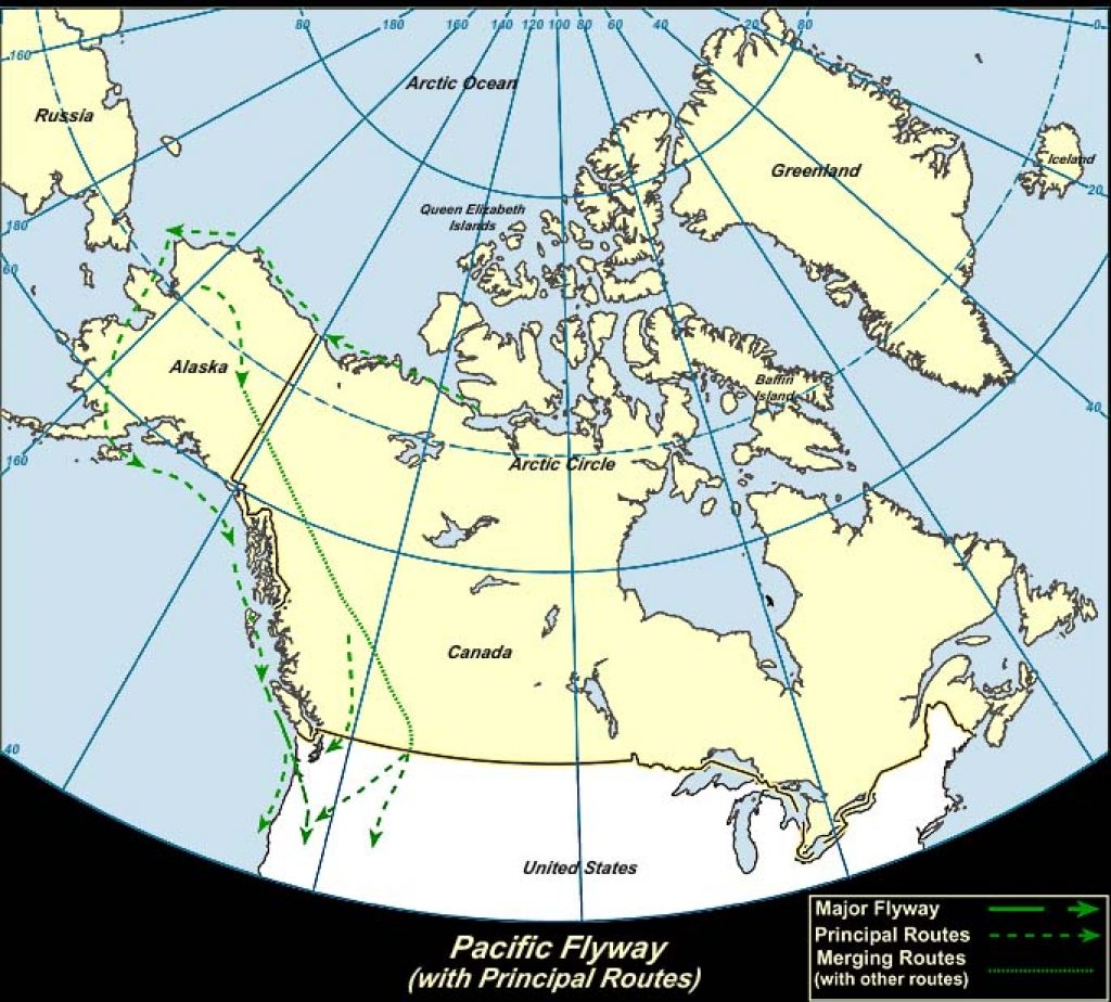 Pacific Flyway (Canada)-USGS photo