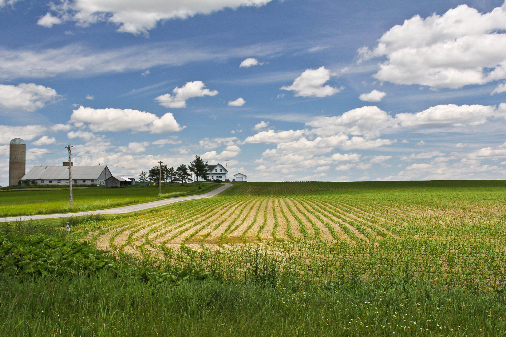 Best binoculars for farming review