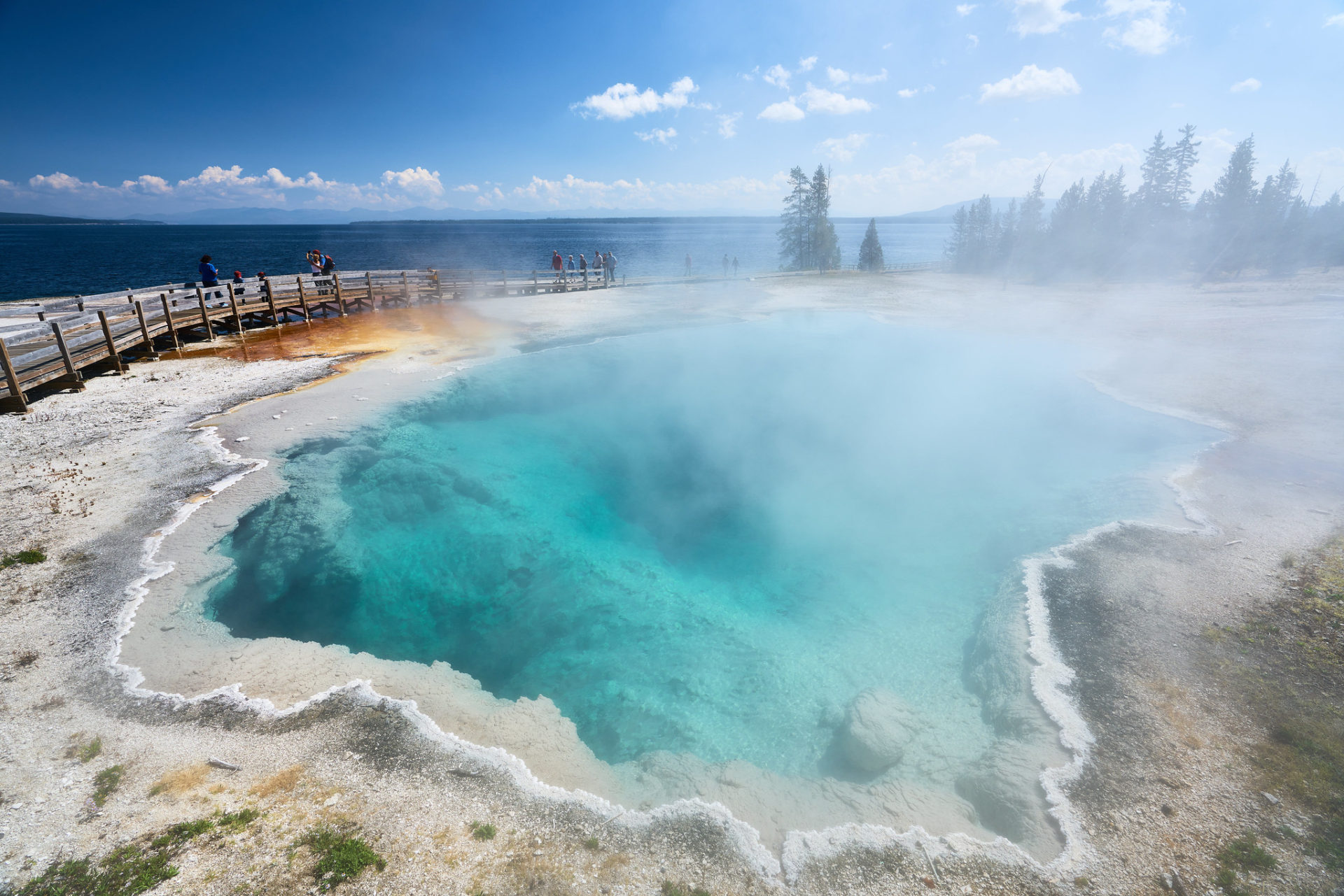 Yellowstone national park binocular review