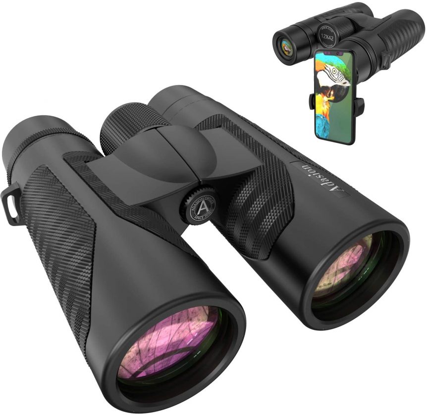 Best Budget Binoculars For Birding Optics Empire