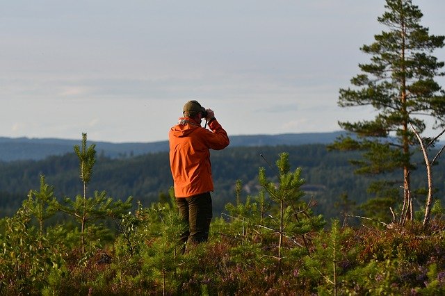 best budget binoculars for birding